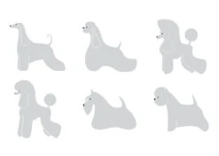K-Design Sticker Assortment 6 Pcs Silver 10 Cm