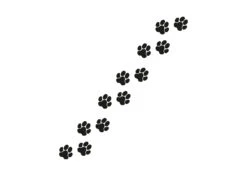K-Design Paws Sticker 12 Pcs Black 5.5 X 5.3 Cm