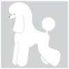 K-Design Poodle T-trim Sticker Left Wit 10 Cm -Pawfect Care Store 01kde087 12x gbn5o804j7ijmg2w