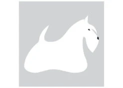 K-Design Scottish Terrier Sticker Right White 10 Cm