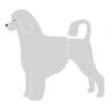 K-Design Portuguese Water Dog Lion Sticker Left Silver 10 Cm -Pawfect Care Store 01kde115 12x siafynx8v7yamilr