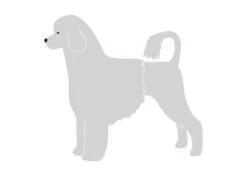 K-Design Portuguese Water Dog Lion Sticker Left Silver 10 Cm