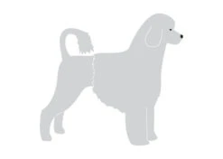 K-Design Portuguese Water Dog Lion Sticker Right Silver 10 Cm