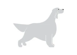 K-Design Setter Dog Sticker Right Silver 10 Cm