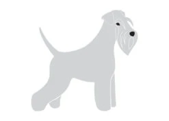 K-Design Schnauzer Sticker Right Silver 10 Cm