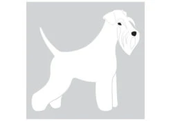 K-Design Schnauzer Sticker Right White 10 Cm