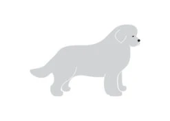 K-Design New Foundlander Sticker Right Silver 10 Cm