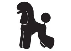 K-Design Poodle T-trim Sticker Left Black 25 Cm