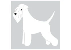 K-Design Schnauzer Sticker Left White 25 Cm