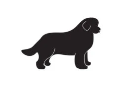 K-Design New Foundlander Sticker Right Black 25 Cm