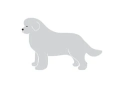 K-Design New Foundlander Sticker Left Silver 25 Cm