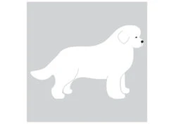 K-Design New Foundlander Sticker Right White 25 Cm