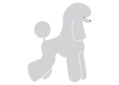K-Design Poodle T-trim Sticker Right Silver 50 Cm