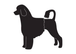 K-Design Portuguese Water Dog Lion Sticker Left Black 50 Cm