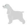K-Design English Cocker Sticker Left Silver 50 Cm -Pawfect Care Store 01kde409 12x ixxr9ssiezvippc4