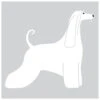 K-Design Afghan Sticker Right White 50 Cm -Pawfect Care Store 01kde418 12x ljj9wbepfmvjizce