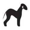 K-Design Bedlington Sticker Right Black 50 Cm -Pawfect Care Store 01kde444 12x ppbpncy8vzhcgnxr
