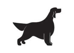 K-Design Setter Sticker Right Black 50 Cm