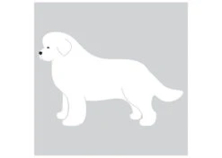 K-Design New Foundlander Sticker Left White 50 Cm