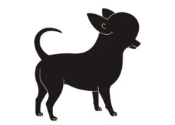 K-Design Chihuahua Sticker Right Black 10 Cm