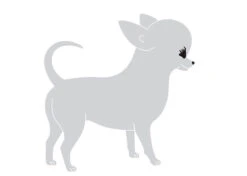 K-Design Chihuahua Sticker Right Silver 10 Cm