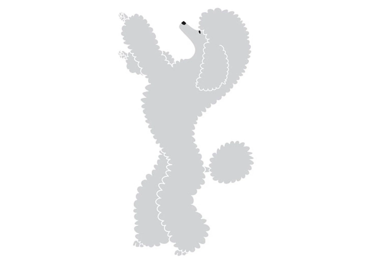 K-Design Poodle Stand Up Sticker Left Silver 50 Cm 3 K-Design Poodle Stand Up Sticker Left Silver 50 Cm