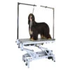 Groom-X Jumbo Salon Table L134.5 X W65 X H54-107.5 Cm -Pawfect Care Store 12grx036 3 uc8i41zfu5cjxf5q