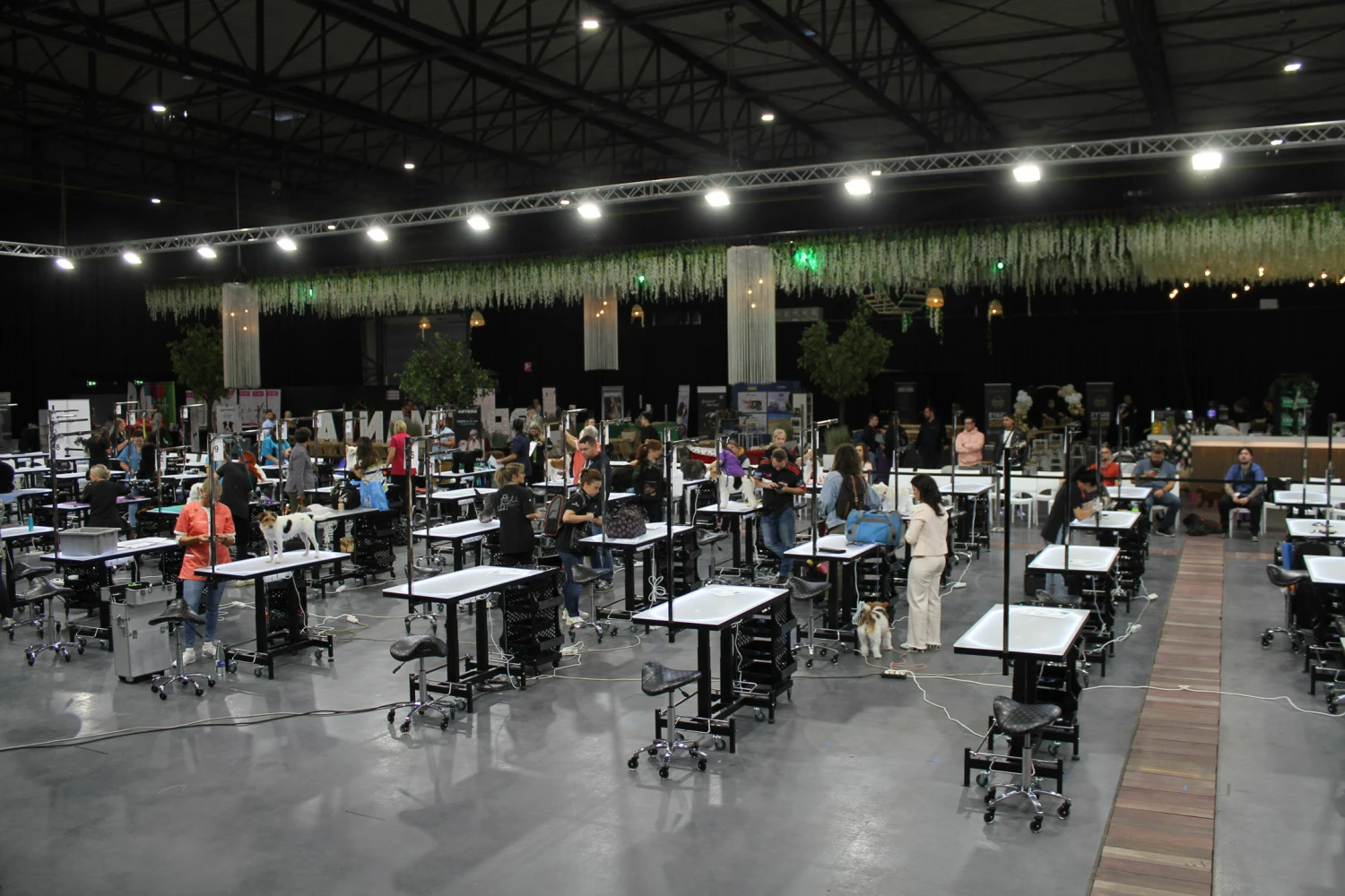 Groom-X Groomania 2023 Electric Grooming 122 X 61 Cm Table Ltd Edition 6 Groom-X Groomania 2023 Electric Grooming 122 X 61 Cm Table Ltd Edition - Image 4