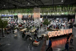 Groom-X Groomania 2023 Electric Grooming 122 X 61 Cm Table Ltd Edition 22 Groom-X Groomania 2023 Electric Grooming 122 X 61 Cm Table Ltd Edition -Pawfect Care Store 12grx047 4 hin68rj75mnhe3ft