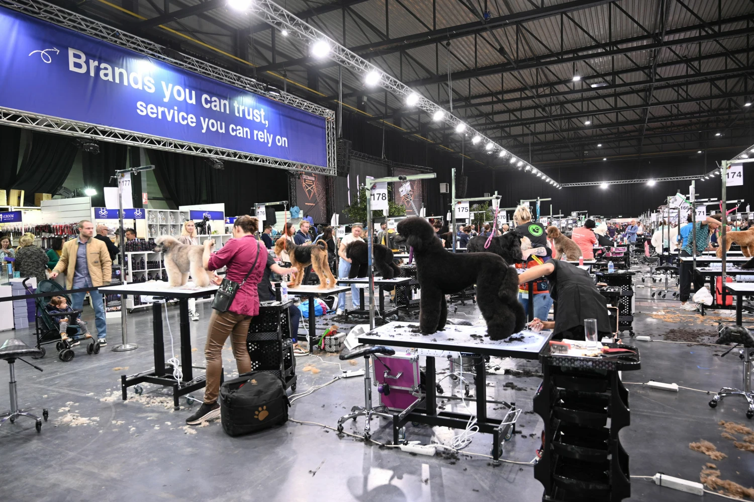 Groom-X Groomania 2023 Electric Grooming 122 X 61 Cm Table Ltd Edition 10 Groom-X Groomania 2023 Electric Grooming 122 X 61 Cm Table Ltd Edition - Image 8