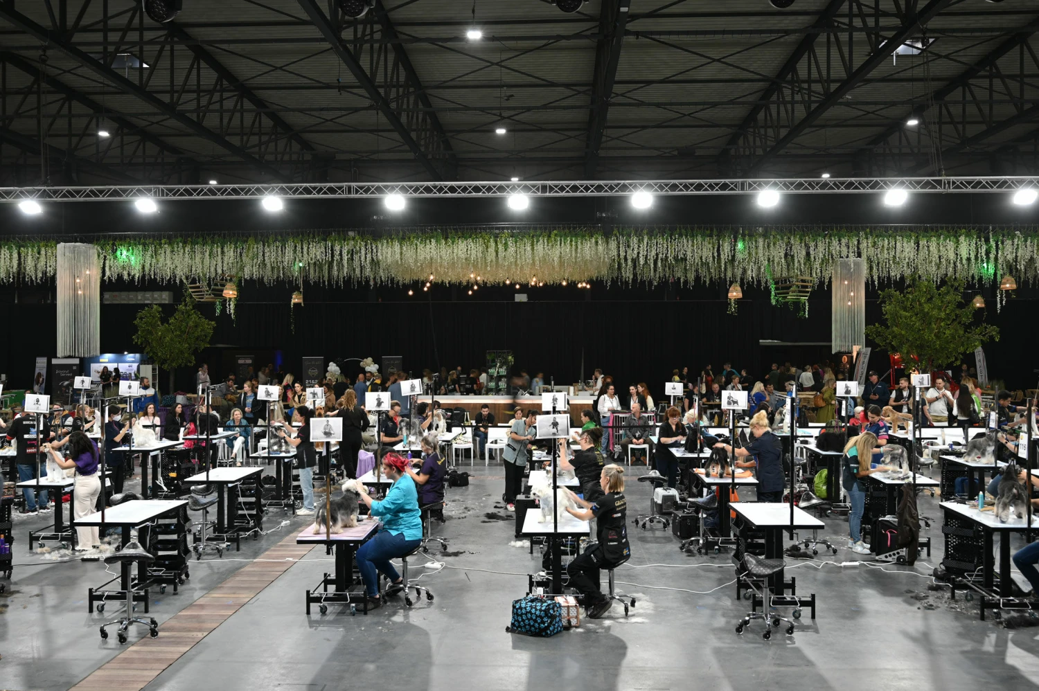 Groom-X Groomania 2023 Electric Grooming 122 X 61 Cm Table Ltd Edition 11 Groom-X Groomania 2023 Electric Grooming 122 X 61 Cm Table Ltd Edition - Image 9