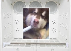 Groom-X Professional Cabin Dryer XL 27 Groom-X Professional Cabin Dryer XL -Pawfect Care Store 14grx025 14 q0nxlci82pzquefx