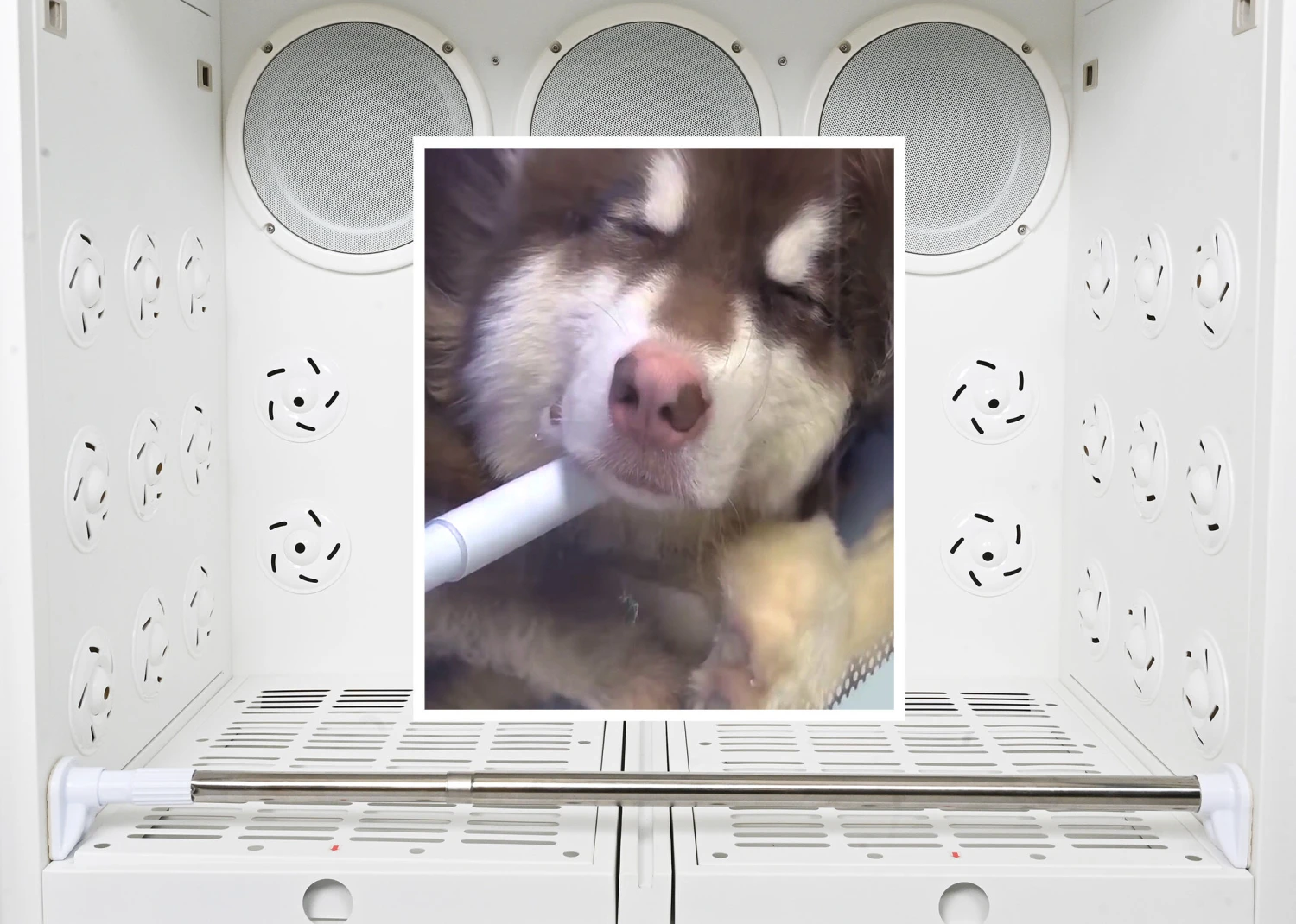 Groom-X Professional Cabin Dryer XL 15 Groom-X Professional Cabin Dryer XL - Image 13