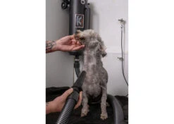 Metro Air Force Master Blaster + Free Wall Mount -Pawfect Care Store 14mtr004 1 uyze1zjvrstw6fnl