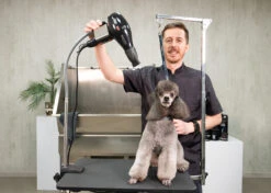 Show Tech Sirocco Hand Dryer -Pawfect Care Store 14ste001 3 hfnx5axfcnupjgpk