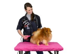 Show Tech Hands-Free Holder For Dryers Black -Pawfect Care Store 14ste008 iasesbdepbwx3ugn