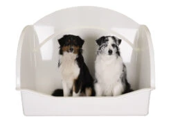 Groom-X Atlantis Pro Bath Tub L122xD72xH96cm -Pawfect Care Store 15grx001 2 tz5xsgvib3swuaoz