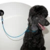 Groom-X Cable Bath Restraint 100CM With Suction SS Blue 2 Groom-X Cable Bath Restraint 100CM With Suction SS Blue -Pawfect Care Store 15grx015 8w5h88pamkkcyq3h