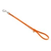 Jelly Pet Grooming Loop Hunter Orange 46 Cm X 1 Cm -Pawfect Care Store 16jpe004 3 r5soui51iry5ujmp