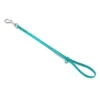 Jelly Pet Grooming Loop Teal 46 Cm X 1 Cm