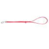 Jelly Pet Grooming Loop Red 61 Cm X 1 Cm 2 Jelly Pet Grooming Loop Red 61 Cm X 1 Cm -Pawfect Care Store 16jpe012 1 5icyqtxinbzgsftp