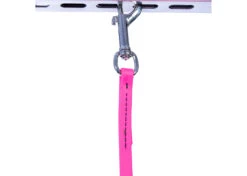 Jelly Pet Grooming Loop Heavy Duty Hot Pink 61 Cm X 1,25 Cm -Pawfect Care Store 16jpe019 1 mnkk1xywbspqkffq