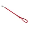 Jelly Pet Grooming Loop Heavy Duty Red 61 Cm X 1,25 Cm