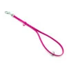 Jelly Pet Grooming Loop W/Ring Hot Pink 46 Cm X 1 Cm -Pawfect Care Store 16jpe028 tqym1skmncha2xlr