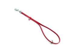 Jelly Pet Grooming Loop W/Ring Red 46 Cm X 1 Cm
