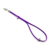 Jelly Pet Grooming Loop W/Ring Purple 46 Cm X 1 Cm -Pawfect Care Store 16jpe035 rayn7kvribitxqau