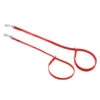 Jelly Pet Grooming Loop Slip Style Red 63 Cm X 1 Cm 2 Jelly Pet Grooming Loop Slip Style Red 63 Cm X 1 Cm -Pawfect Care Store 16jpe048 nkentxrqixet9vax