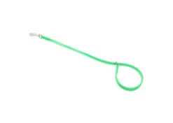 Jelly Pet Grooming Loop Slip Style Lime Green 76 Cm X 1,25 Cm -Pawfect Care Store 16jpe059 1 9a7qobsqkjfiqxrp
