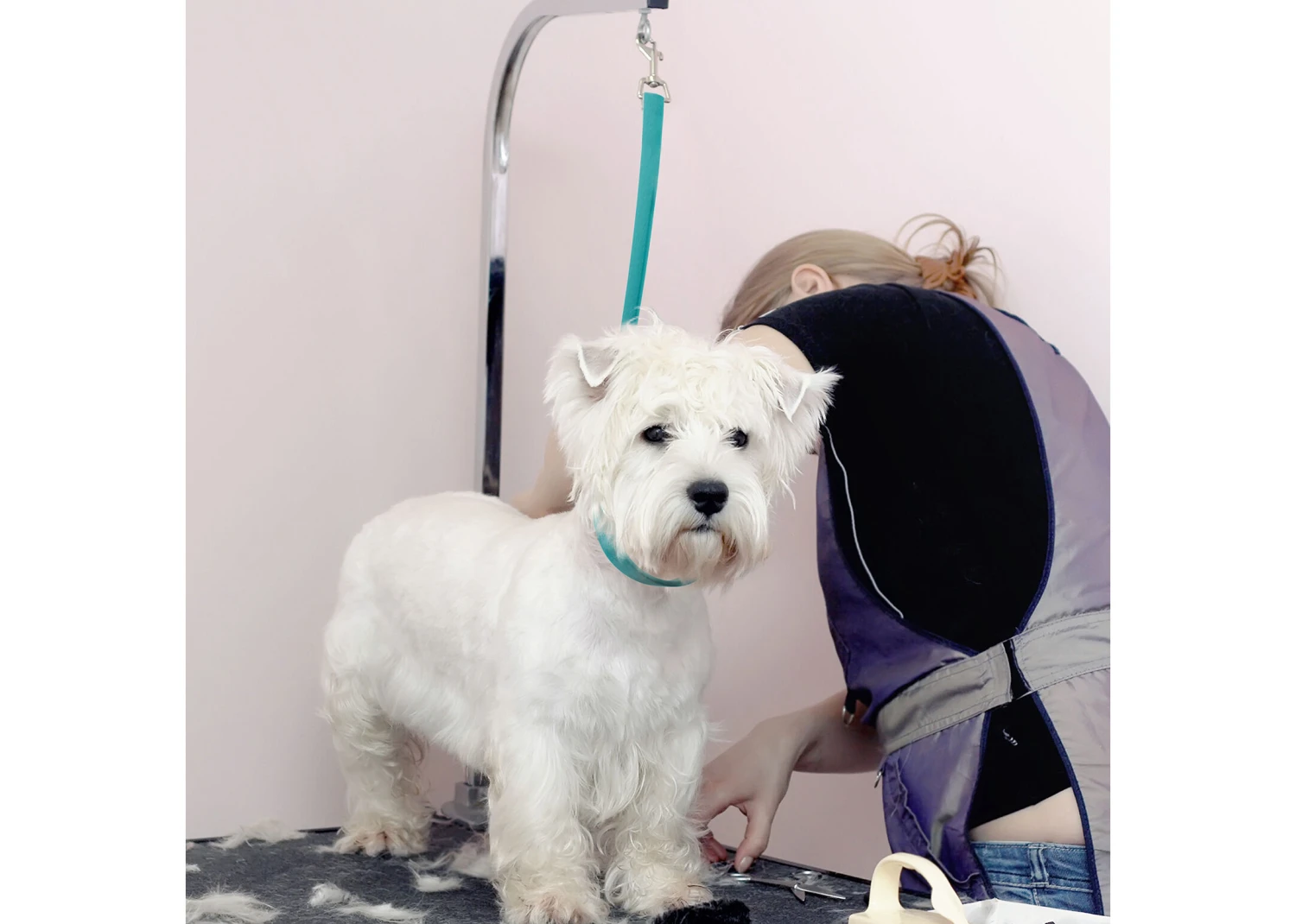 Jelly Pet Grooming Loop Slip Style Teal 76 Cm X 1,25 Cm 5 Jelly Pet Grooming Loop Slip Style Teal 76 Cm X 1,25 Cm - Image 3