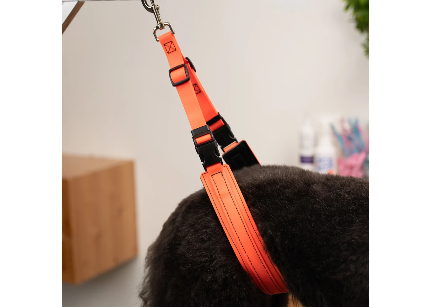 Jelly Pet Belly Band Hunter Orange 5 Jelly Pet Belly Band Hunter Orange - Image 3